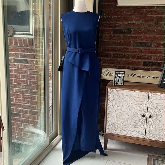 Kay Unger Owen Belted Walk-Thru Scoop Neck Jumpsuit Size 10 NWT - Picture 6 of 7